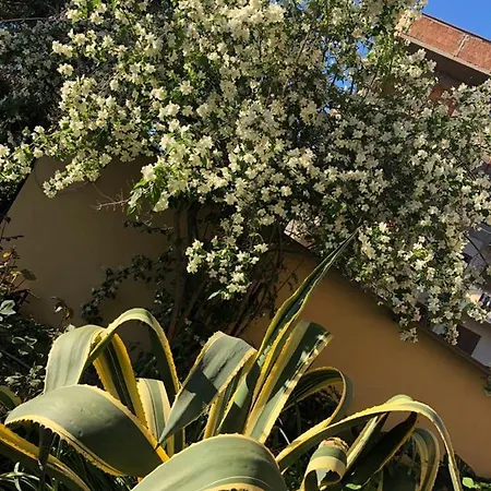 Bed & Breakfast Silverstar Sas Sambatello